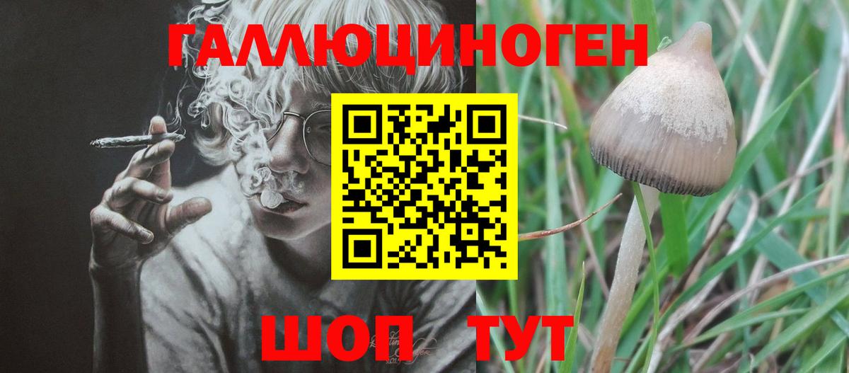 Псилоцибиновые грибы мицелий  Вход с VPN  Заволжье 