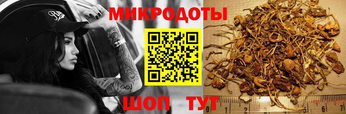 Псилоцибиновые грибы Cubensis Заволжье